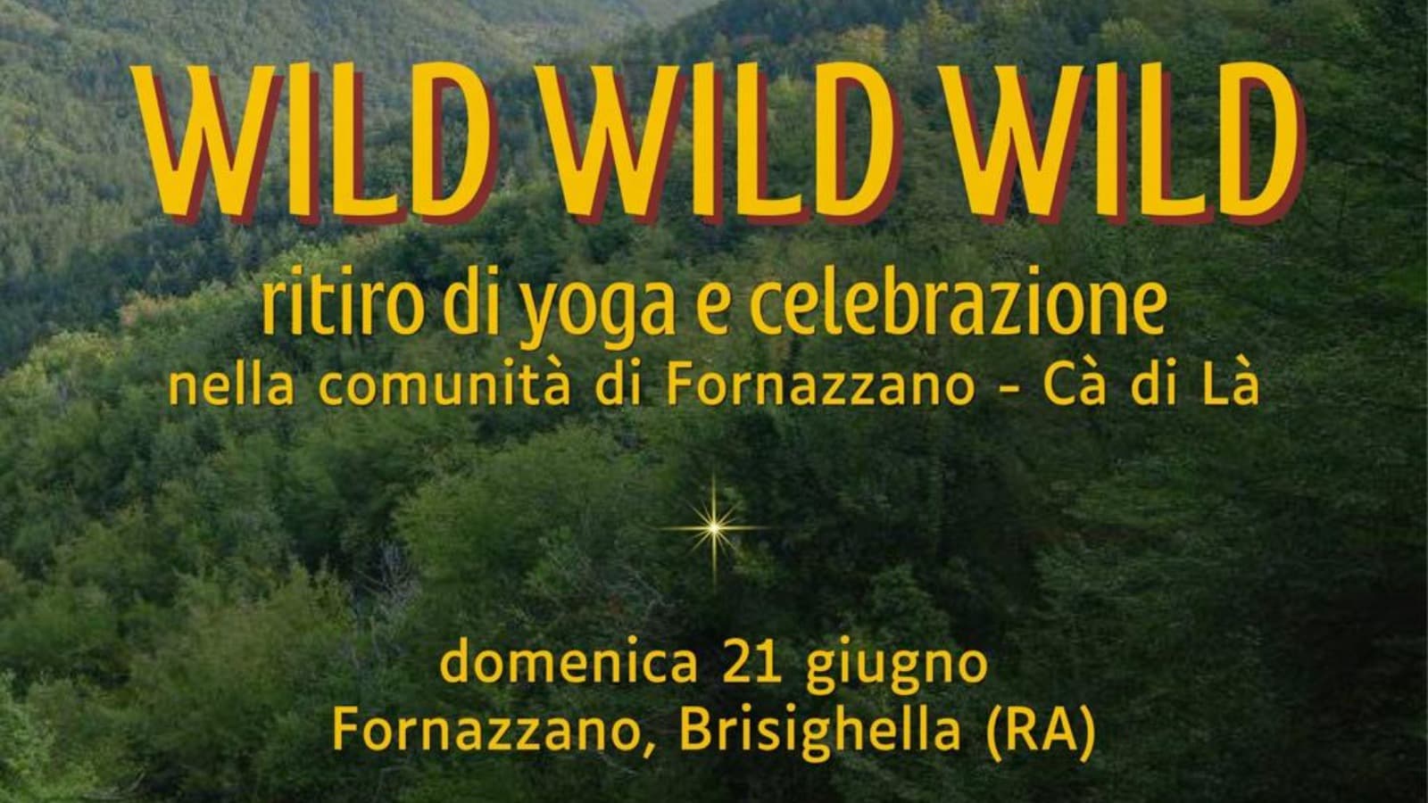 WILD WILD WILD 1